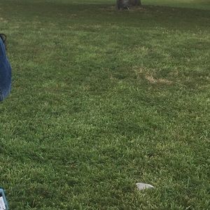 Meet your Posher, Amyah